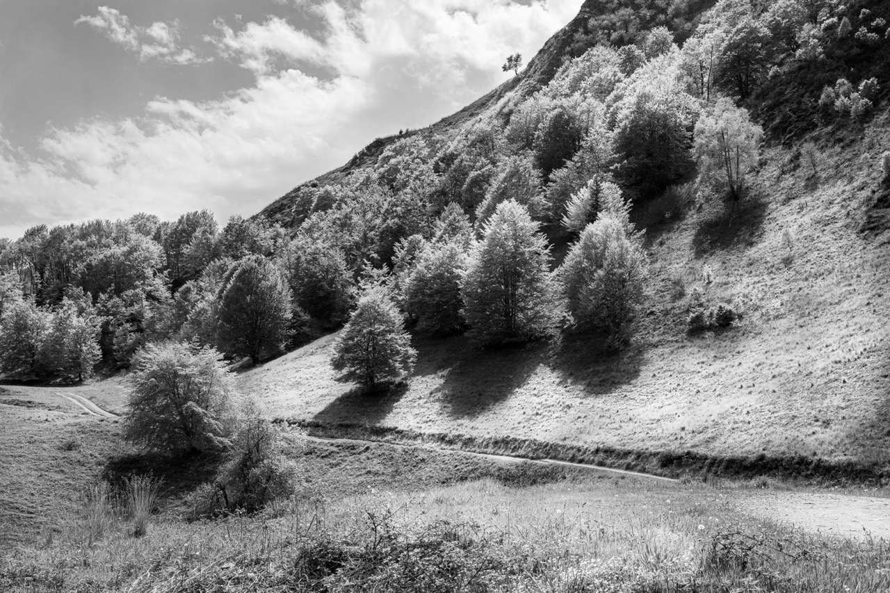 nature 10
