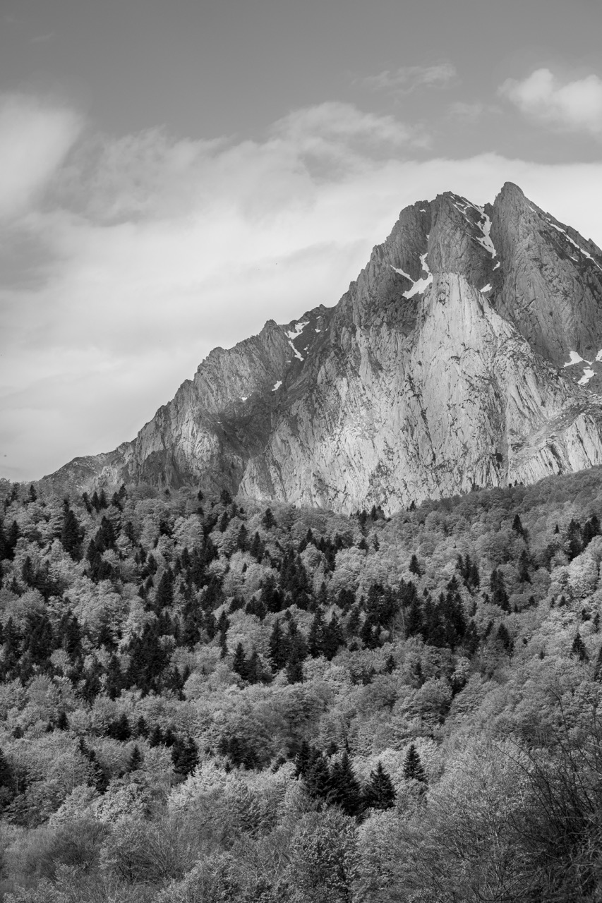 nature 2