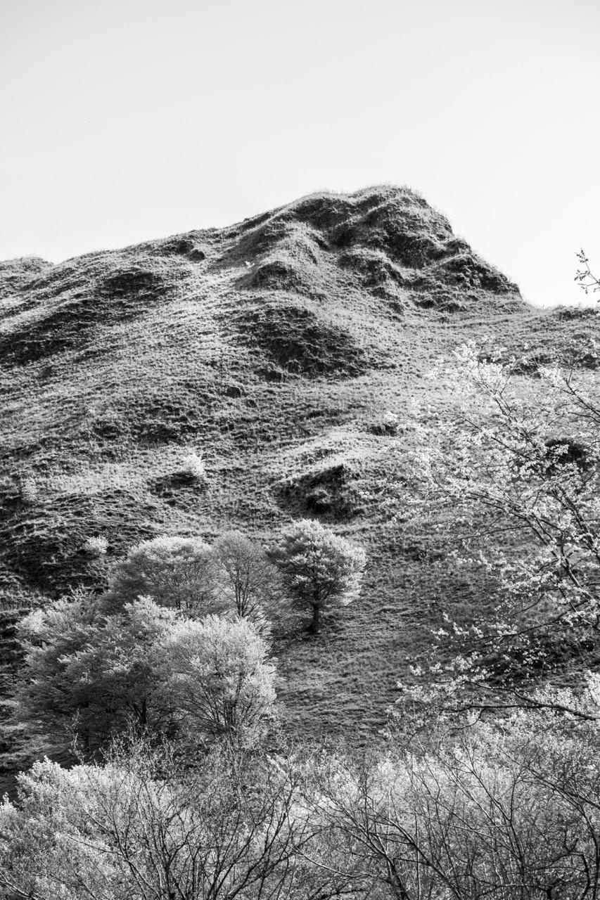 nature 3