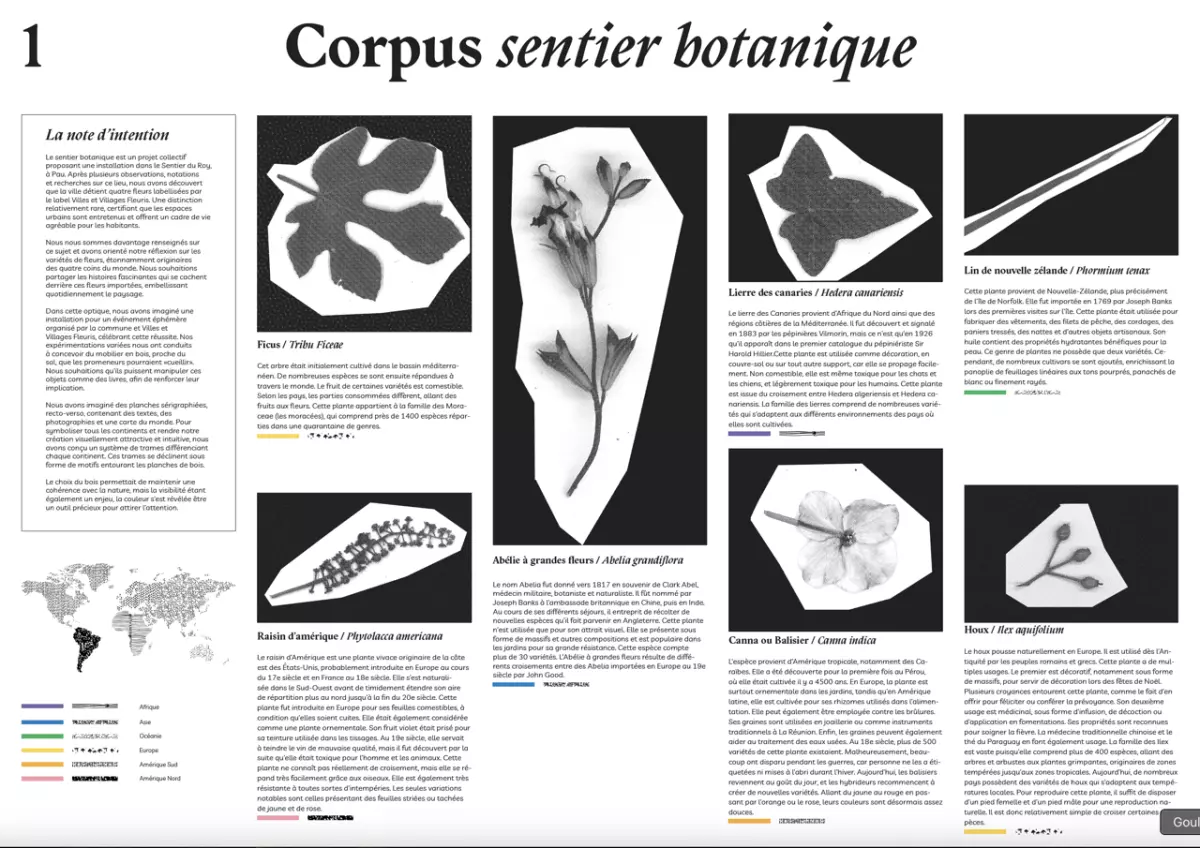 poster A1 explicative du projet - 1