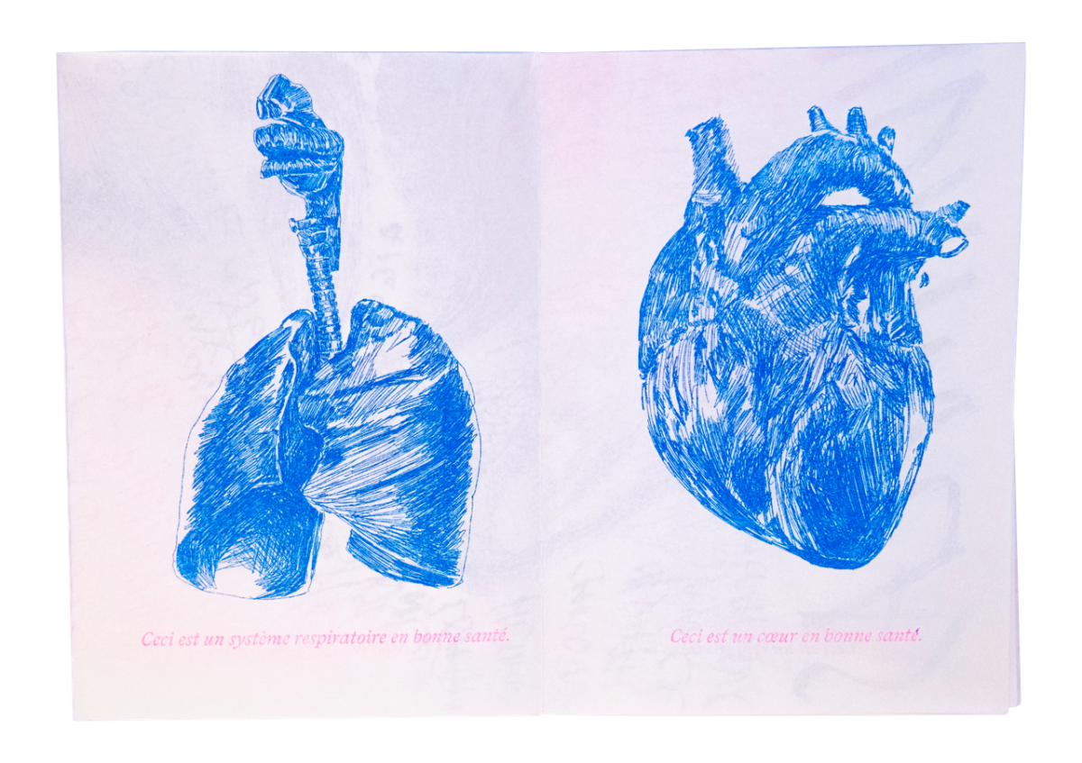 Hypocondr&iuml;atlas